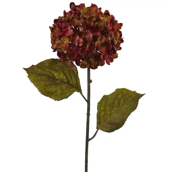 22" Rusty Red Fall Hydrangea Stem, 6ct. {3}