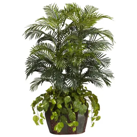 4.5ft. Double Areca Palm & Pothos in Vase {1}