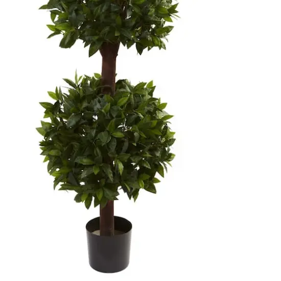 6.5ft. Potted Sweet Bay Triple Ball Topiary Plant {3}