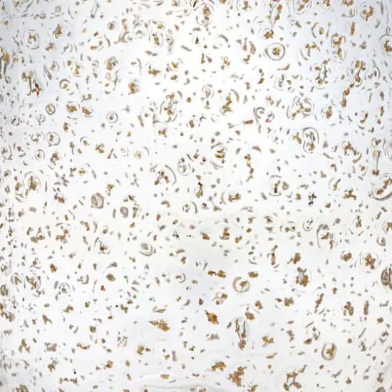 Hello Honey&reg; 12oz. Tall Gold Flecked Clear Drinking Glass {6}