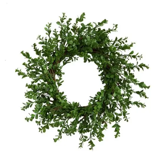 20" Boxwood Wreath {1}