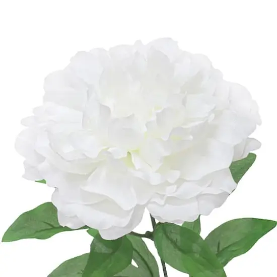 21" White Peony Bush by Ashland&reg; {4}