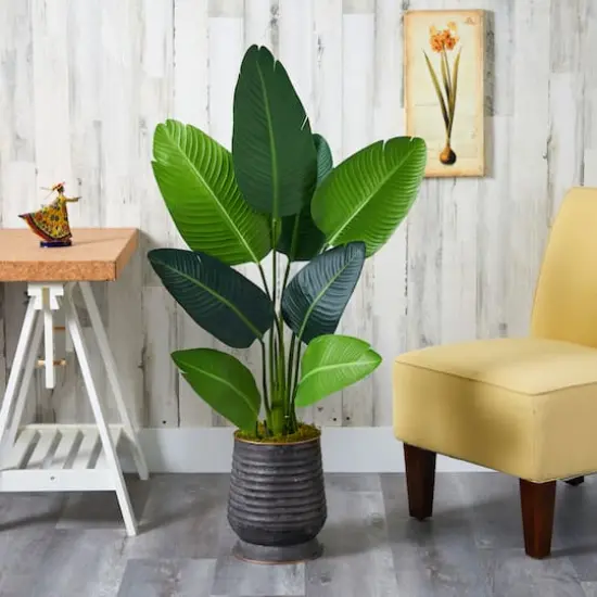 4ft. Travelers Palm Tree in Metal Planter {4}