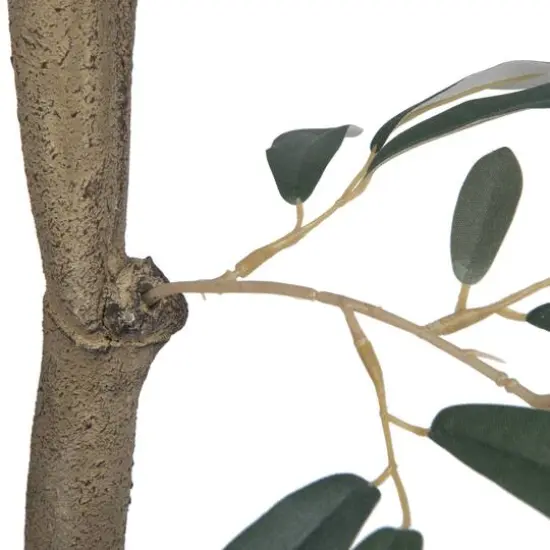 4ft. Potted Olive Tree {6}