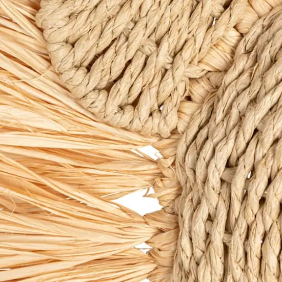 Hello Honey&reg; 16.5" Natural Savannah King Raffia Lion Wall Art {6}