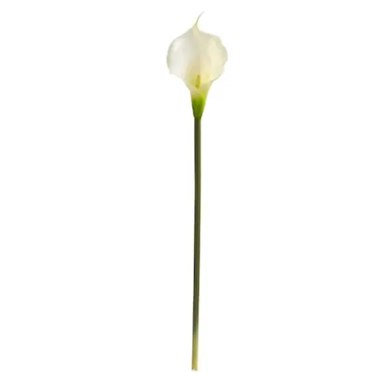 White Calla Lily Flower, 12ct. {1}