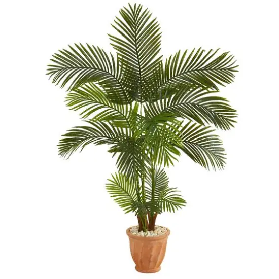 5ft. Areca Palm Tree in Terracotta Planter {1}