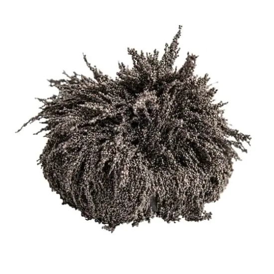 Dowling Magnets&reg; Iron Filings, 3 Jars of 12oz. {4}