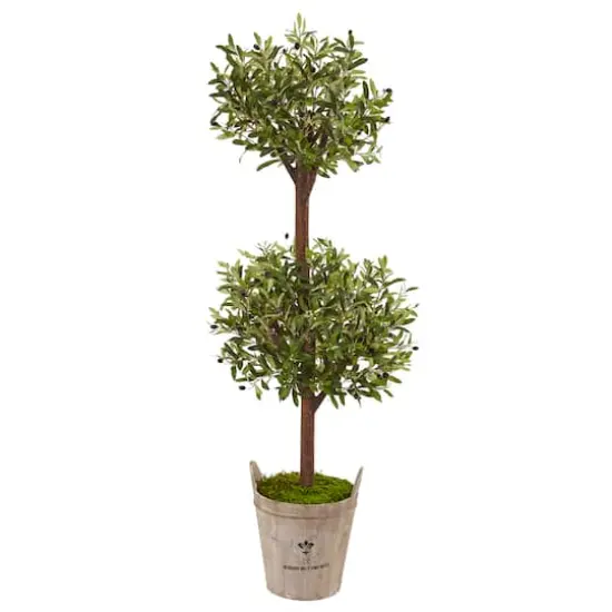 5ft. Olive Tree in Farmhouse Planter {1}