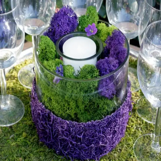 SuperMoss&reg; Preserved Reindeer Moss, Forest {4}