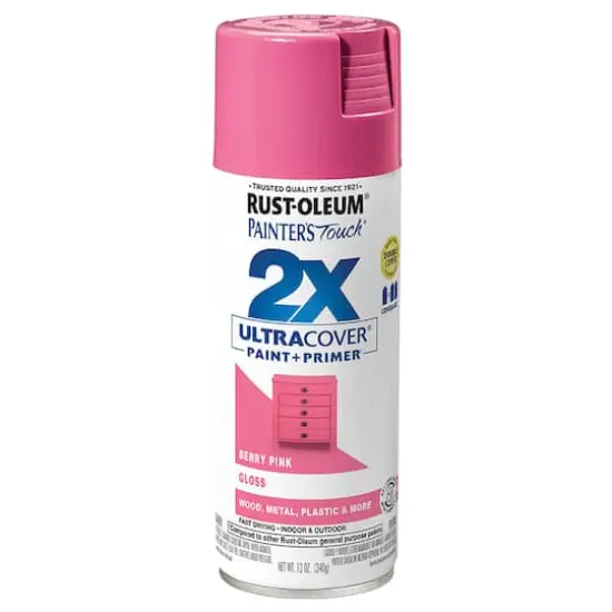Rust-Oleum® Painter's Touch® 2X Ultra Cover® Gloss Spray Paint Berry Pink {1}