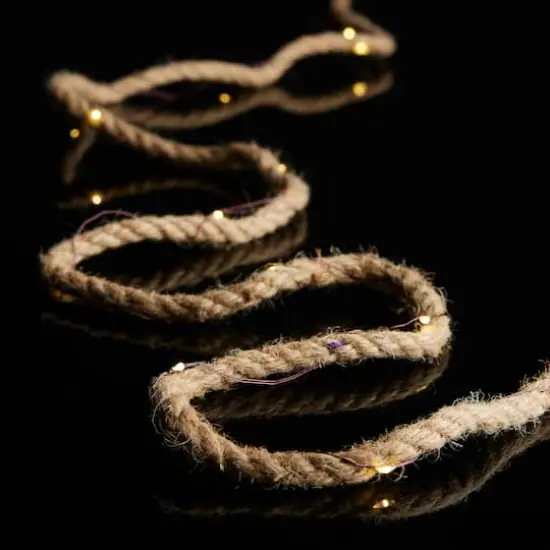 10ft. LED Rope String Lights by Ashland&trade; {3}