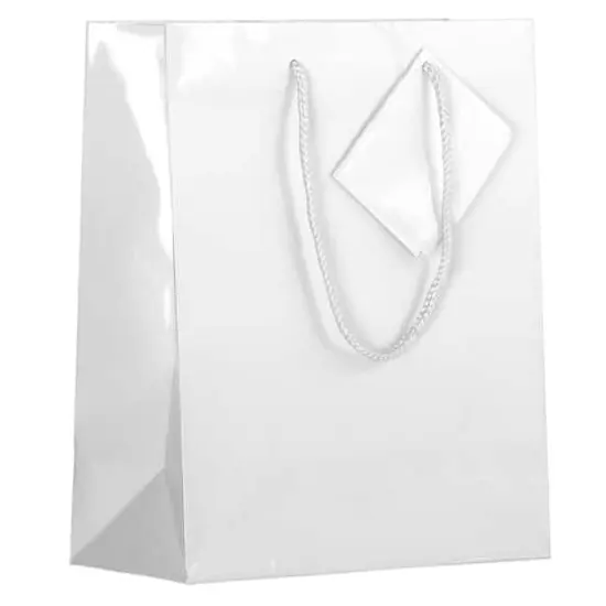 JAM Paper Medium Glossy Gift Bags, 3ct. White {1}