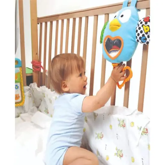 Enviro-Mental Toy Brilliant Beginnings: Teaching Talking Owl {3}