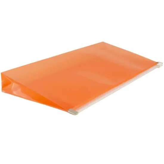 JAM Paper 5" x 10" Plastic Zip Closure Envelopes, 12ct. Orange {5}