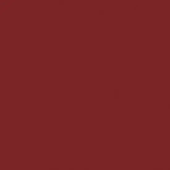 Liquitex&reg; Professional Spray Paint Cadmium Red Light Hue 2 {4}