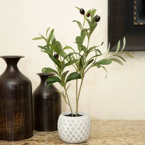 Flora Bunda&reg; 14" Olive Branch In 4" Ceramic Pot {4}