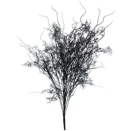 24" Black Moss Bush by Ashland&reg; {1}