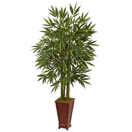 5.5ft. Bamboo Tree in Decorative Wood Planter {1}