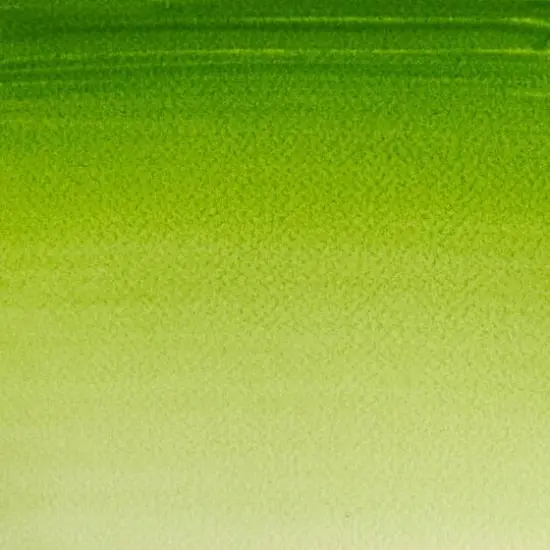 Winsor & Newton&reg; Cotman&reg; Watercolor, 8mL Sap Green {3}