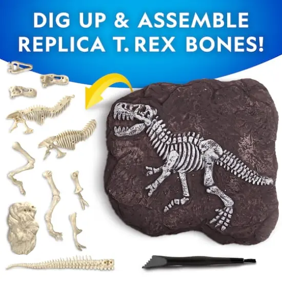 National Geographic Tyrannosaurus Rex Dig Kit {6}