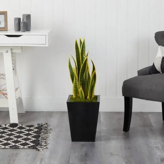 2.5ft. Snake Plant in Black Metal Planter {4}