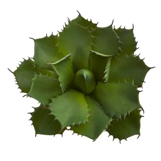 Green Succulent Pick, 2ct. {4}