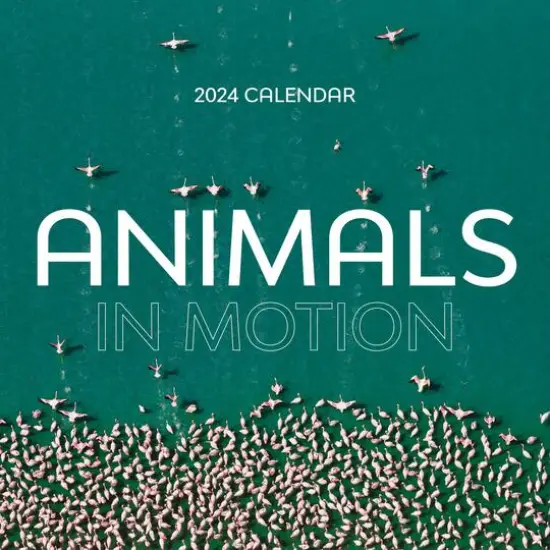 TF Publishing 2024 Animals in Motion Wall Calendar {1}