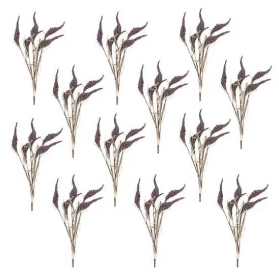 Seeded Harvest Bush, 12ct. {1}