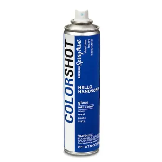 COLORSHOT&reg; Premium Gloss Spray Paint Hello Handsome {4}