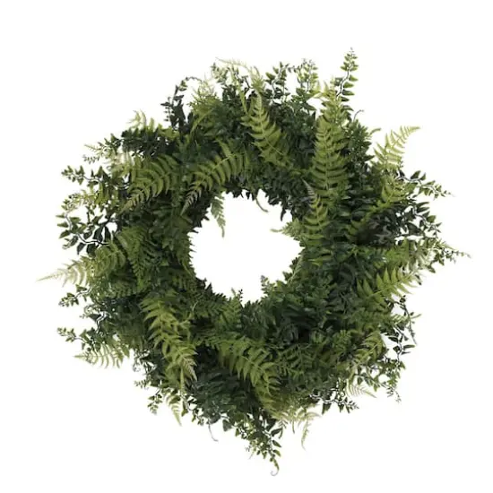 24" Green Buckler Fern & Grass Wreath {1}