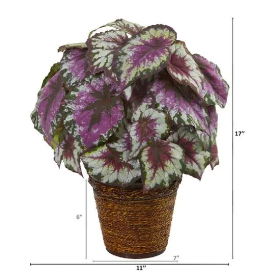 17" Wax Begonia Plant in Basket {3}