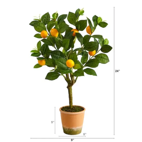 2ft. Lemon Tree in Brown Planter {3}