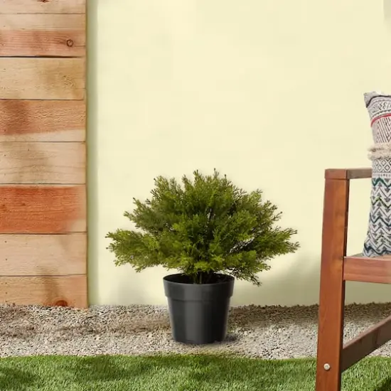 15" Globe Cedar Tree {3}