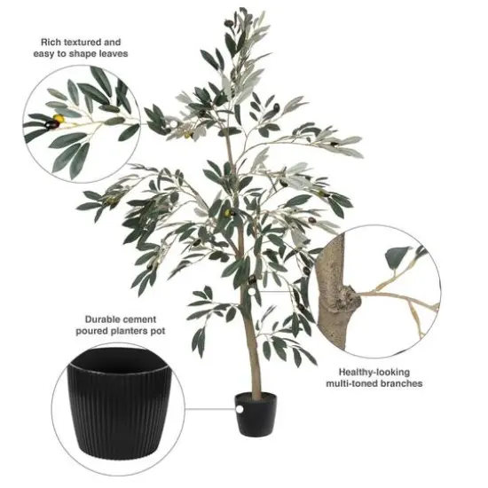 4ft. Potted Olive Tree {9}