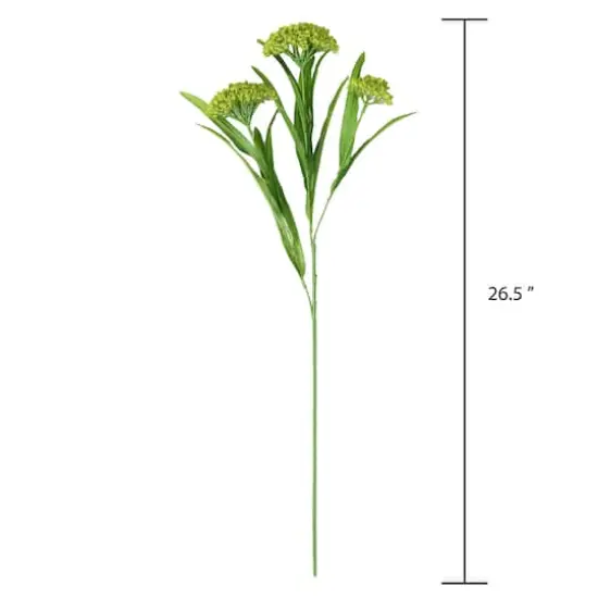 Green Queen Anne's Lace Stem by Ashland&reg; {5}