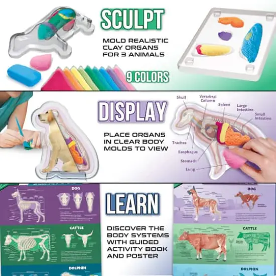 ArtSkills&reg; Epic Lab Veterinary Science STEM Kit {5}