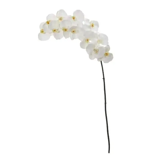 White Moth Orchid Stem, 3ct. {1}