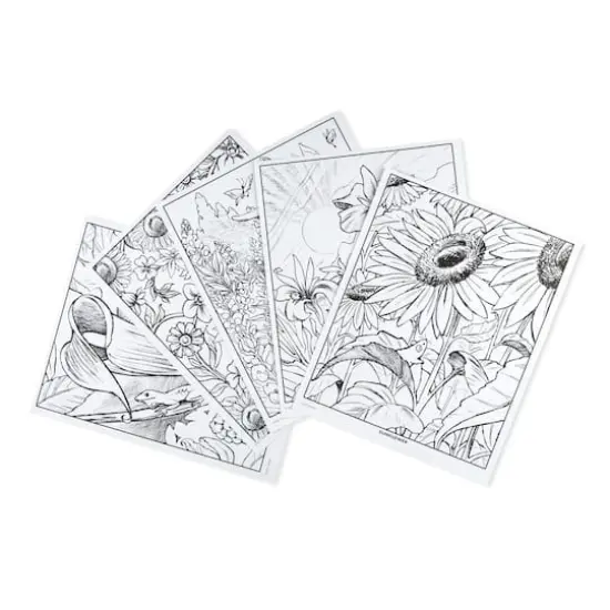 Crayola&reg; Wildflowers Coloring Book {5}