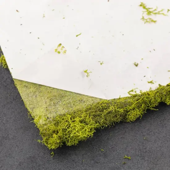 SuperMoss&reg; Instant Green&reg; Sticky All-Purpose Moss Mat {5}