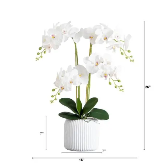 2ft. Orchid Arrangement in Decorative Ceramic Vase {6}