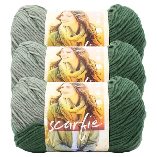 3 Pack Lion Brand&reg; Scarfie Yarn Evergreen/Pearl Grey {1}