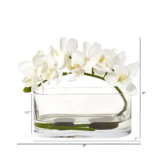 7" Moth Orchid Arrangement in Glass Vase White {3}