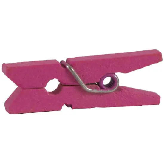 JAM Paper 7/8" Wood Clothespins, 100ct. Fuchsia Pink {5}