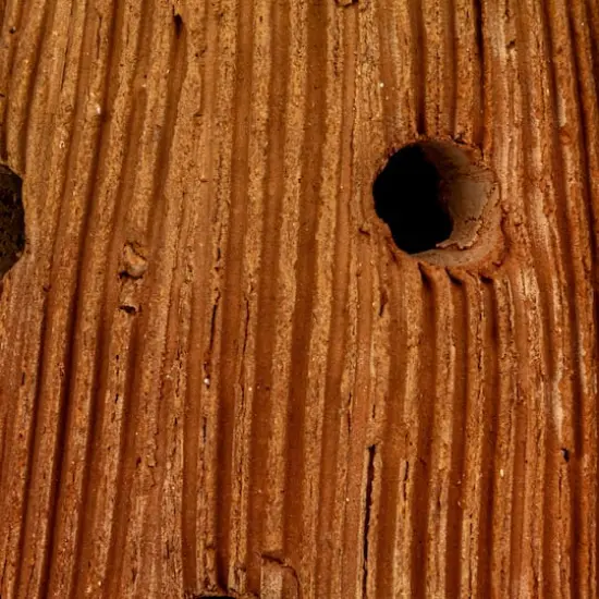 Hello Honey&reg; Handmade Vintage Reproduction Terra Cotta Mushroom Shaped Candle Holder {7}