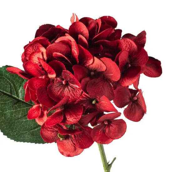 25" Hydrangea Stem by Ashland&reg; Red {4}