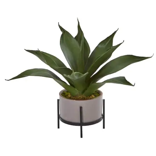 14" Agave Succulent in Decorative Planter {1}