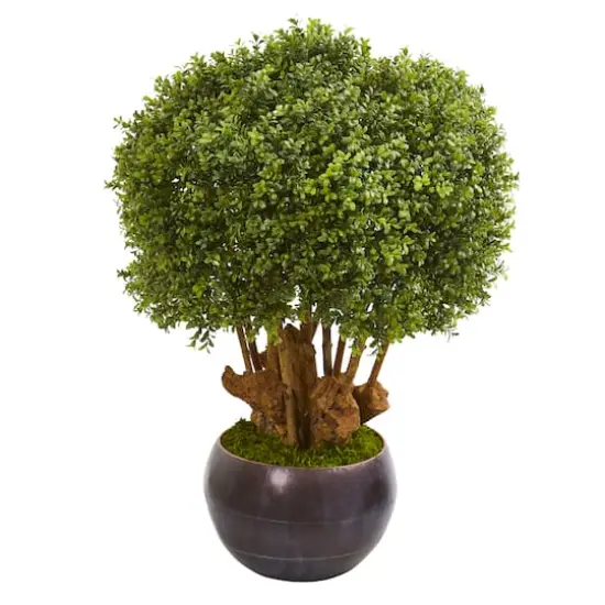 3.2ft. Boxwood Topiary Tree in Decorative Bowl {1}