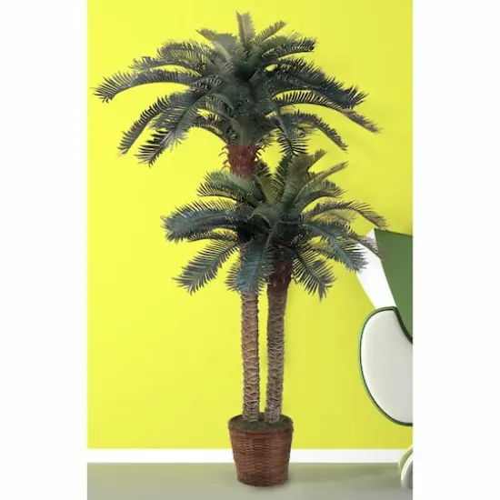 6ft. Sago Palm Double Tree in Wicker Basket Pot {7}