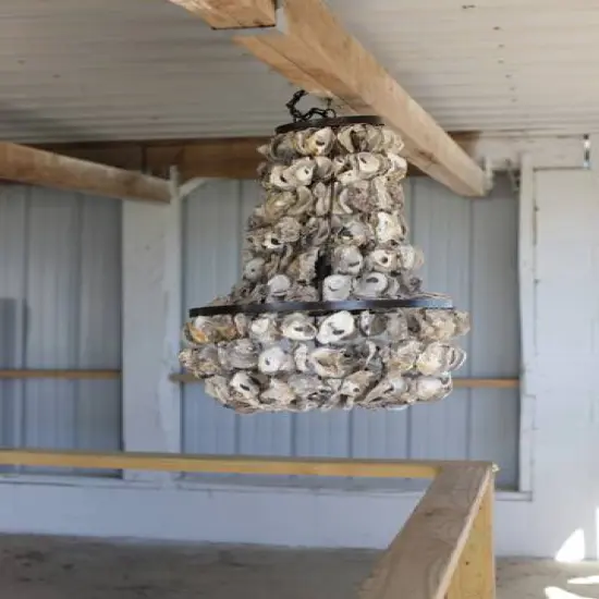Hello Honey&reg; 29" Oyster Shell Chandelier {5}